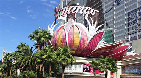 lotus casino vegas real